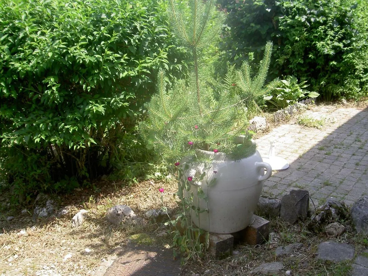 Holiday home Serenella Fontaine Et Coquelicots Villa Le Noyer